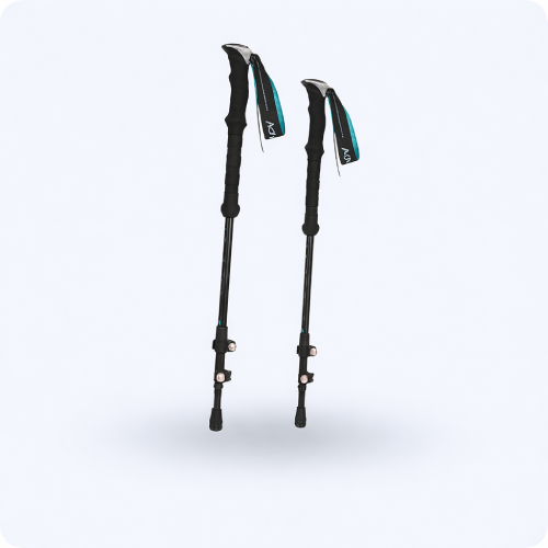 Hiking Poles